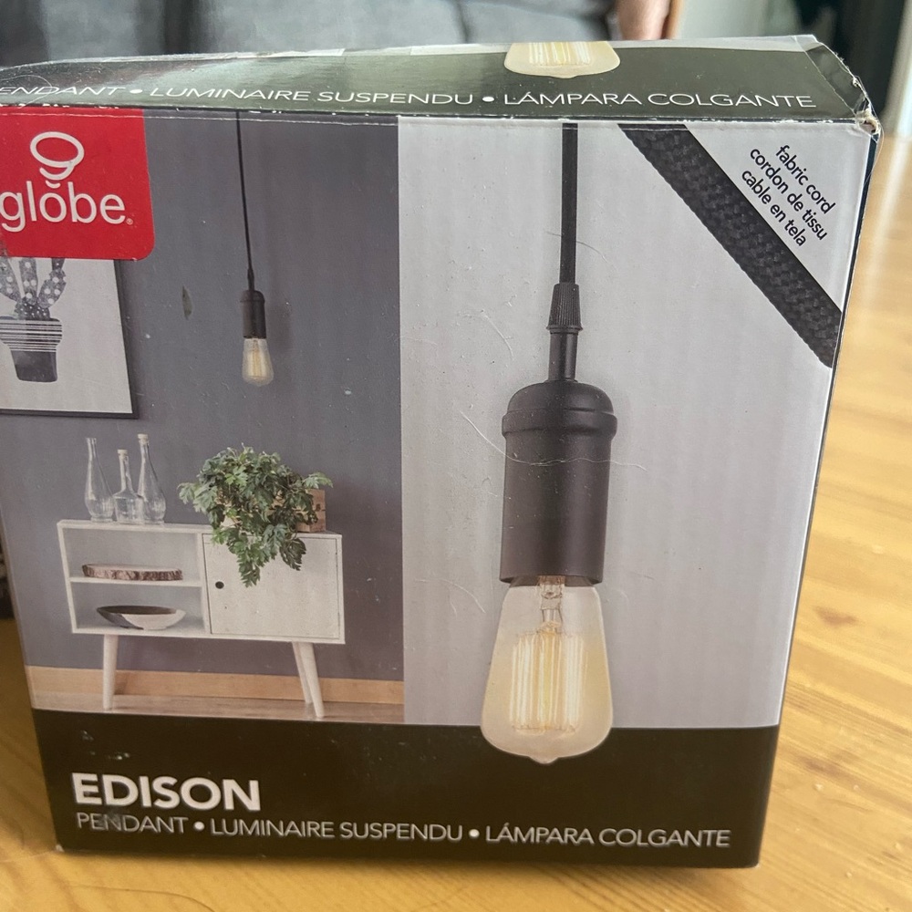 Globe Black Edison Pendant Light